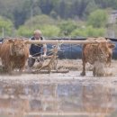 만희농장 이미지