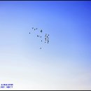 서호공원 이미지