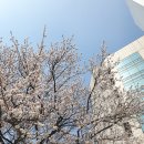 완산골명가 남부터미널점 이미지