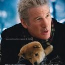 하치이야기 이미지