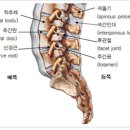 행복한한의원 네이버블로그