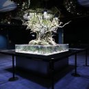 (주)코리아렌탈서비스 이미지