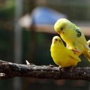 경주동궁원 알화장실 이미지