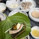 거북곰장어 이미지