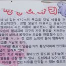 신안짱뚱어