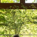 주식회사 현대수리조트 | 호시노 리조트 카이 아키우 라운지, 엑티비티, 조식, 석식