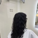 쎄이헤어 이미지