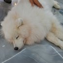 구름뜬하늘 이미지