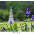 치악산 고판화박물관 이미지