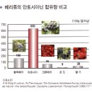 블랙초크베리(아로니아)효능 이미지