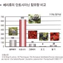 아로니아의 효능 이미지