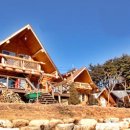 상록수펜션 이미지