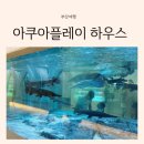 풀 PLUS 하우스 | 부산 명지 추석 연휴 아이와 가볼만한 곳 아쿠아 플레이하우스