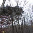 차돌배기로 이미지