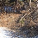 용궁농장(2) 이미지