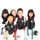 선무태권도 이미지