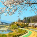 강변길-서천 이미지