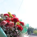 Florist 김현실 네이버블로그