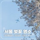 CU대방행복 | [서울] 벚꽃 보러 갔다가 먹방 찍고 온 하루🌸｜벚꽃 명소 보라매공원, 거리공원, 안양천 추천