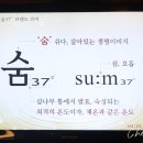 숨스토어 이미지