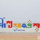 대천초등 이미지