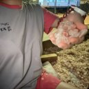 스타이용원 | 경기도 평택 가볼만한곳 평택역 찜질방 추천 자수정사우나 24시