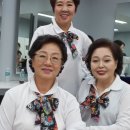 유란