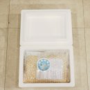 퍼피엔죽 이미지