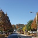 석현마을 건너편 이미지