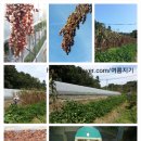 만상식품
