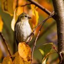 부동산중개법인이상 주식회사 이미지