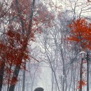 정든목장 이미지