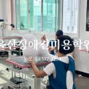 고려 애견 미용실 이미지