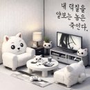 네 먹여살릴 투디가 있으니 쓰리디인 제가 힘내야죠