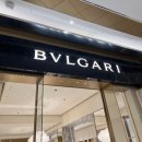 G00227 | [wedding] 10. 반지원정대 1차 - 잠실 롯데 에비뉴엘 (부쉐론, 까르띠에, 쇼파드, 불가리, 피아제)