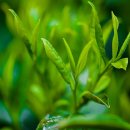 예스한의원 이미지