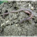 호암농장 이미지