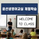 윤선생영어교실 이미지