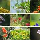 부광 농장 이미지