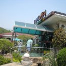 팔공산이재욱호박오리 이미지