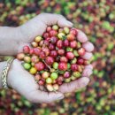 (주)열림커뮤니케이션 이미지