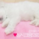 해피클릭(주)