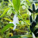 산청여인숙 네이버블로그