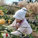 정진수농장 이미지