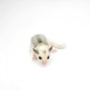 와우펫앤쥬 김해점 이미지