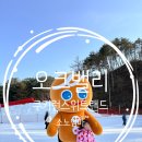 겨울 오크밸리 여행 코스 쿠키런 스위트랜드 아이 썰매장 후기