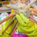 영덕대게생각 이미지