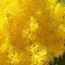 일심2로 R 이미지