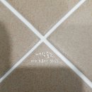 비비드앤코