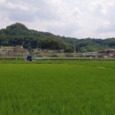 진호국제양궁장 양궁장 이미지